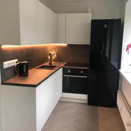 Tuleviku Apartment Rakvere